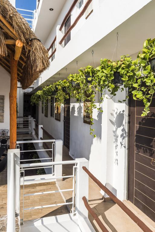 Villa Coral プレヤデルカーメン エクステリア 写真